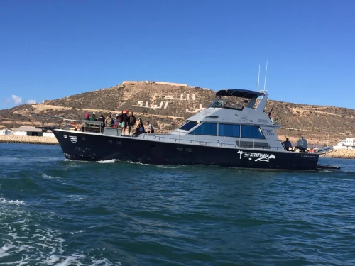 Yacht sitatunga - Yacht tour in Agadir - boats for rent in agadir - RENTS.ma