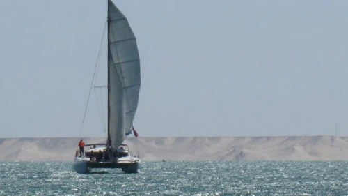 Catamaran Sailing Adventures – Explore Dakhla Bay by Sail - boats for rent in dakhla - RENTS.ma