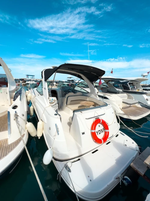 Boat Rental in Tangier| Private Sea Tour Along the Mediterranean Coast - boats for rent in tangier - RENTS.ma