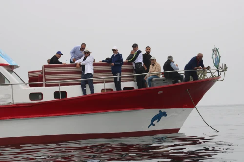 Sortie en Bateau Agadir - boats for rent in agadir - RENTS.ma