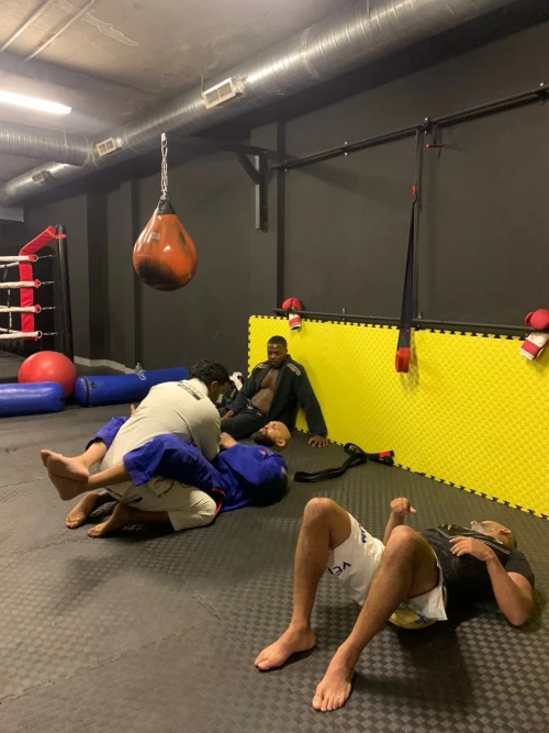 Fight Academy Marrakech – The Ultimate Combat Sports Experience - boxing for rent in marrakech - RENTS.ma