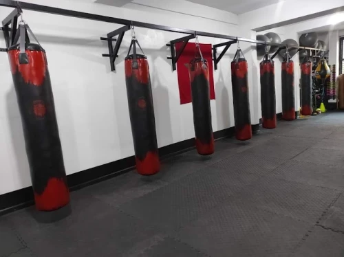 Fight Academy Marrakech – The Ultimate Combat Sports Experience - boxing for rent in marrakech - RENTS.ma