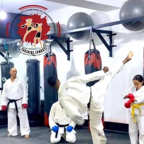 Fight Academy Marrakech – The Ultimate Combat Sports Experience - boxing for rent in marrakech - RENTS.ma