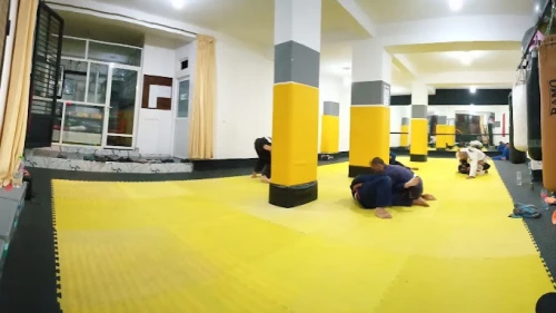 Fight Academy Marrakech – The Ultimate Combat Sports Experience - boxing for rent in marrakech - RENTS.ma