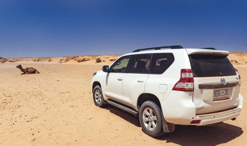 Car Hire Marrakesh Airport - cars for rent in marrakech - RENTS.ma