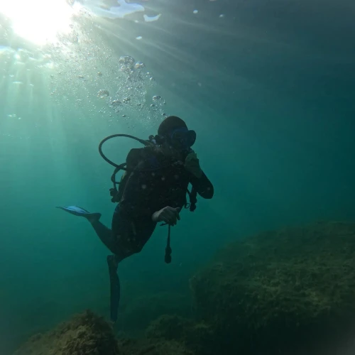 Explorez les mystères de la mer - diving for rent in m'diq - RENTS.ma