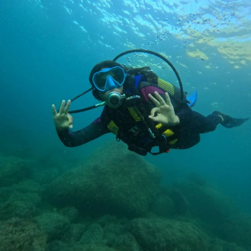 Explorez les mystères de la mer - diving for rent in m'diq - RENTS.ma