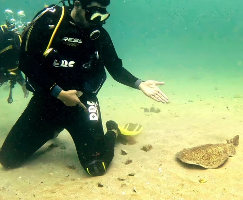Certified CMAS P1 Diving Courses in Tangier - diving for rent in tangier - RENTS.ma