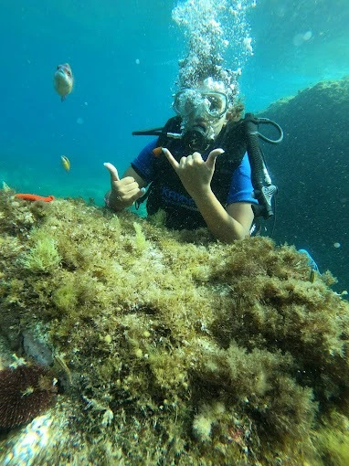 Diving Maroc - Octopus Club - diving for rent in tetouan - RENTS.ma