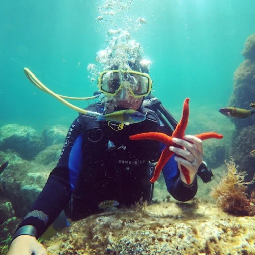 M'diq International Diving Club – Explore the Depths - diving for rent in tetouan - RENTS.ma