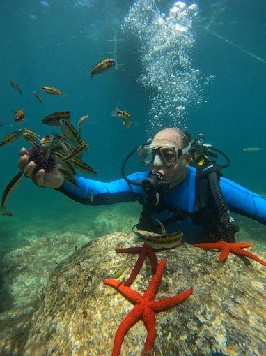 M'diq International Diving Club – Explore the Depths - diving for rent in tetouan - RENTS.ma