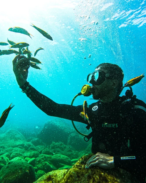 M'diq International Diving Club – Explore the Depths - diving for rent in tetouan - RENTS.ma
