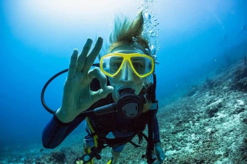 PADI Open Water Diver Certification – Start Your Underwater Adventure! - diving for rent in tangier - RENTS.ma