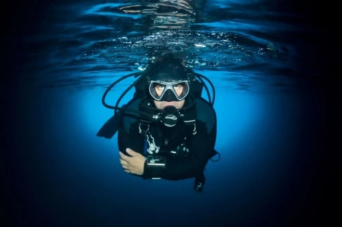 PADI Open Water Diver Certification – Start Your Underwater Adventure! - diving for rent in tangier - RENTS.ma