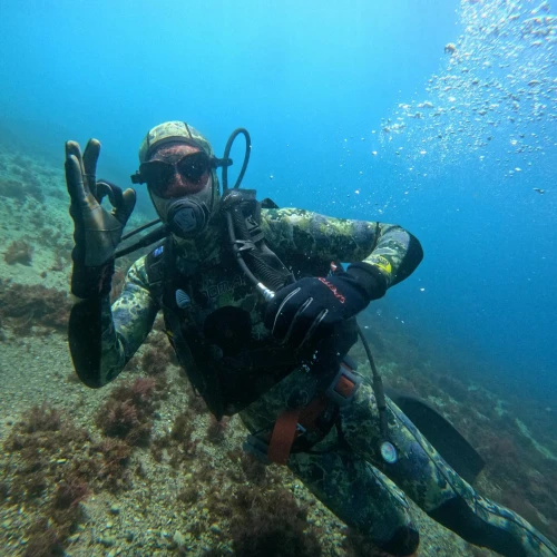 Diving Experience with ACTP Tetouan - diving for rent in tetouan - RENTS.ma