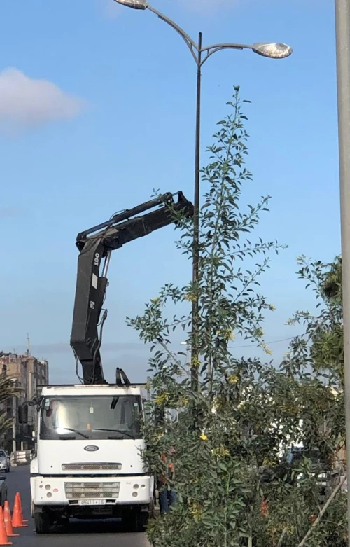 Grand G Express - Building equipment hire service in Rabat - engins for rent in rabat - RENTS.ma