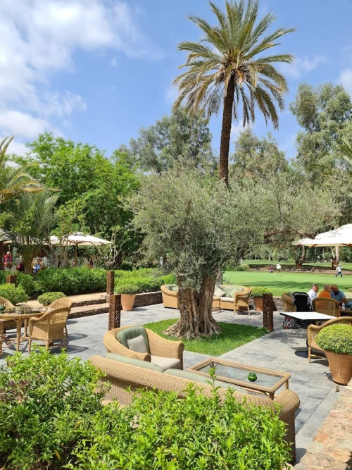 Royal Golf Marrakech - golf clubs marrakech - golf for rent in marrakech - RENTS.ma