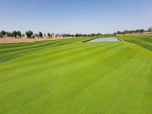 Noria Club - Marrakesh Golf Club - golf for rent in marrakech - RENTS.ma