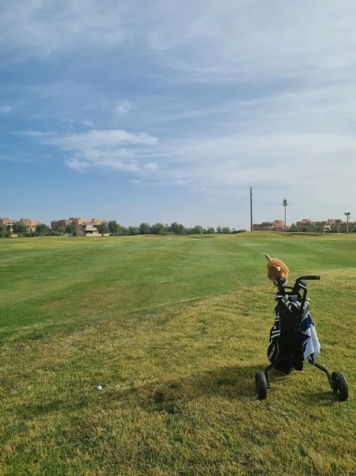 The Montgomerie Golf Club Marrakech - golf for rent in marrakech - RENTS.ma