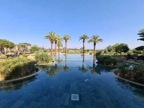 Royal Palm Golf Marrakech - Golf club in Marrakech - golf for rent in marrakech - RENTS.ma