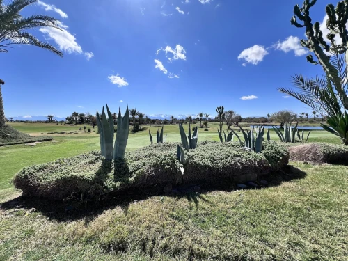 Royal Palm Golf Marrakech - Golf club in Marrakech - golf for rent in marrakech - RENTS.ma