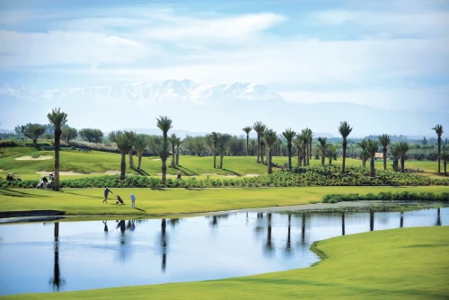 Hotel Fairmont Royal Palm Marrakech Golf Course - golf for rent in marrakech - RENTS.ma