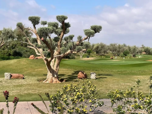Hotel Fairmont Royal Palm Marrakech Golf Course - golf for rent in marrakech - RENTS.ma