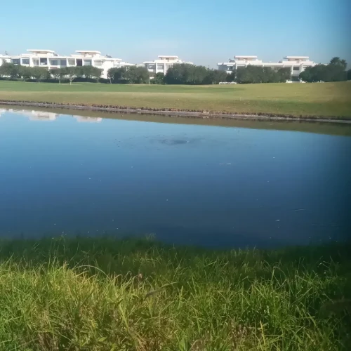 Bouskoura Golf City ⛳🌳 | Luxury Living & Nature in Perfect Harmony - golf for rent in casablanca - RENTS.ma