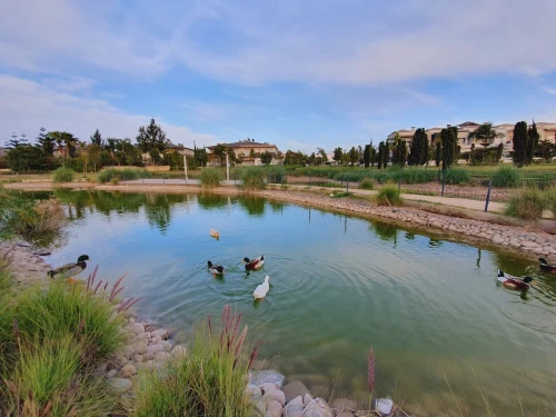 Bouskoura Golf City ⛳🌳 | Luxury Living & Nature in Perfect Harmony - golf for rent in casablanca - RENTS.ma