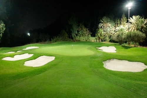 Royal Golf Marrakech ⛳🌴 | Historic Elegance & World-Class Golf - golf for rent in marrakech - RENTS.ma