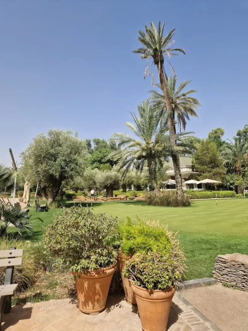 Royal Golf Marrakech ⛳🌴 | Historic Elegance & World-Class Golf - golf for rent in marrakech - RENTS.ma