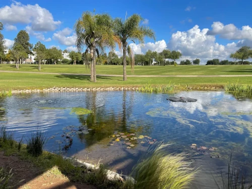 Prestigia Golf Bouskoura ⛳🌿 - golf for rent in casablanca - RENTS.ma