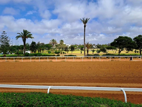 Royal Golf Anfa ⛳👑 | Prestige & Heritage in the Heart of Casablanca - golf for rent in casablanca - RENTS.ma