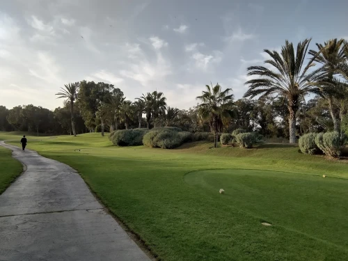 Tikida Golf Palace ⛳🏝️ | Luxury Golf & Serenity in Agadir - golf for rent in agadir - RENTS.ma