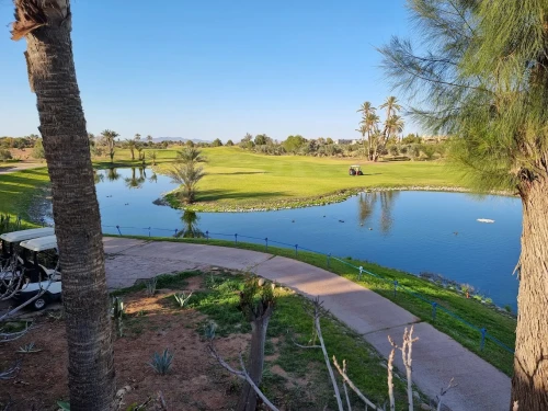 Golf Amelkis Marrakech ⛳🌴 | Championship Golf with Atlas Mountain Views - golf for rent in marrakech - RENTS.ma