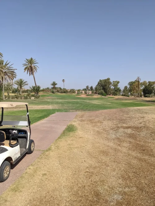 Golf Amelkis Marrakech ⛳🌴 | Championship Golf with Atlas Mountain Views - golf for rent in marrakech - RENTS.ma