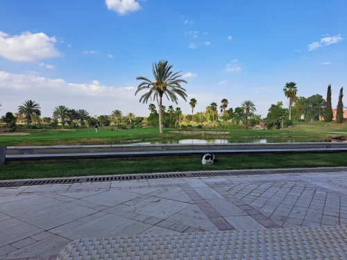 Atlas Golf Marrakech ⛳🌴 | Oasis Golfing in the Heart of the Red City - golf for rent in marrakech - RENTS.ma