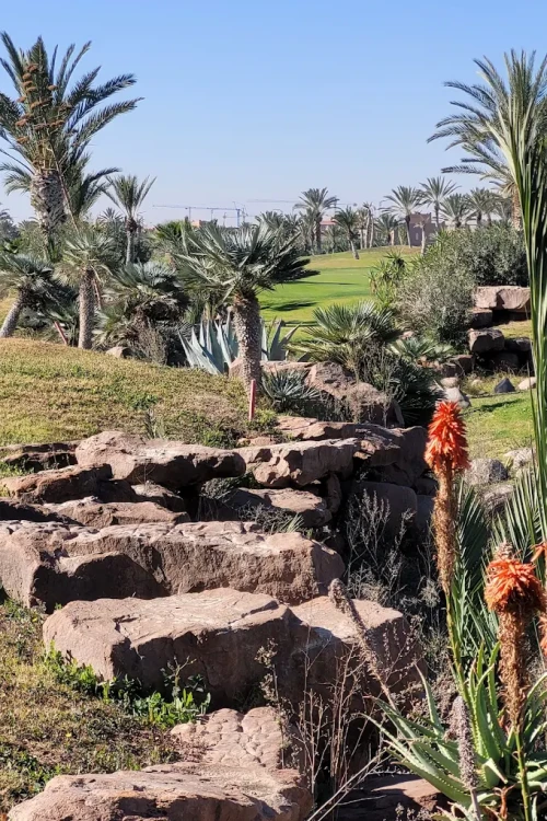 Atlas Golf Marrakech ⛳🌴 | Oasis Golfing in the Heart of the Red City - golf for rent in marrakech - RENTS.ma