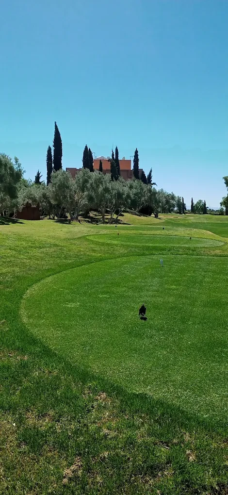 Atlas Golf Marrakech ⛳🌴 | Oasis Golfing in the Heart of the Red City - golf for rent in marrakech - RENTS.ma