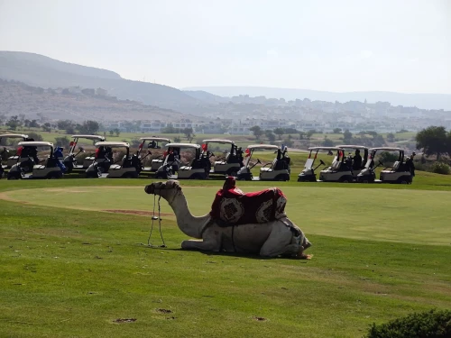 Golf Taghazout Bay ⛳🌊 | Oceanfront Golf Paradise in Morocco - golf for rent in taghazout - RENTS.ma