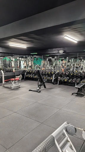 Champions Gym – Top Fitness Destination in Agadir - gym for rent in agadir - RENTS.ma