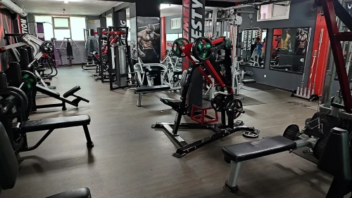 🏋️ Salle de Sport El Jadida – Fitness, Musculation, Cardio - gym for rent in el-jadida - RENTS.ma