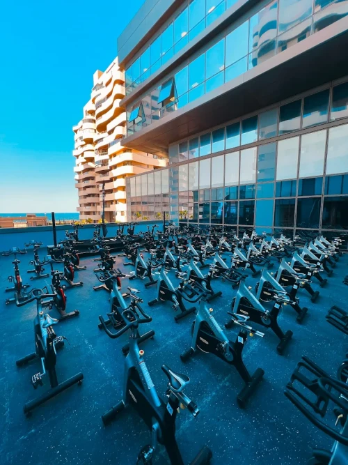 🏋️ Salle de Sport El Jadida – Fitness, Musculation - gym for rent in el-jadida - RENTS.ma