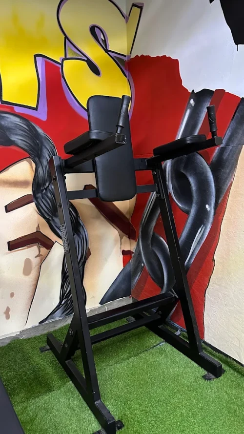 💪 Salle de Sport à Salé – Fitness, Musculation & Bien-Être 🌟 - gym for rent in sale - RENTS.ma