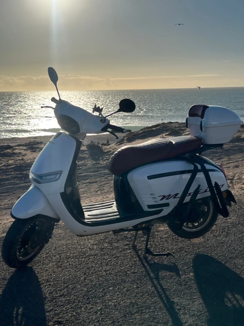 Tamraght Surf Scooter Rental – Moped with Surf Rack - motorcycles for rent in tamraght - RENTS.ma