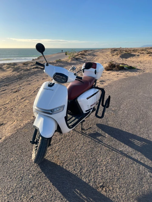 Tamraght Surf Scooter Rental – Moped with Surf Rack - motorcycles for rent in tamraght - RENTS.ma