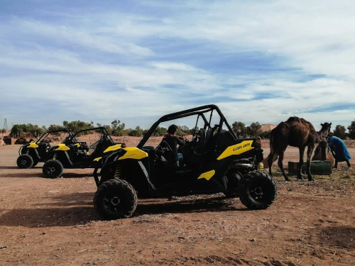 Quad biking rental services in Merzouga - motorcycles for rent in merzouga - RENTS.ma
