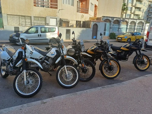 Oxbikers – Location de Motos & Scooters à Témara 🛵🏍️ - motorcycles for rent in temara - RENTS.ma
