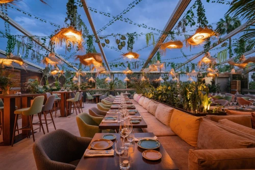 Safran by Koya - Moroccan restaurant - book restaurant in marrakech - RENTS.ma