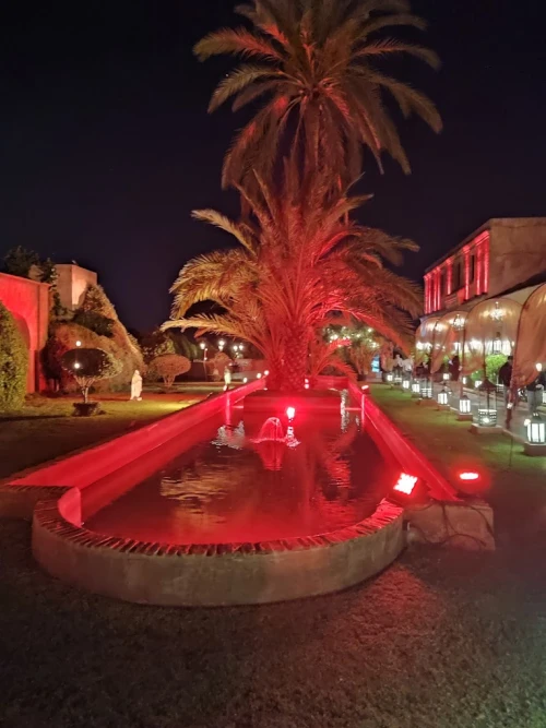 Comptoir Darna Restaurant - Restaurants Marrakech Medina - book restaurant in marrakech - RENTS.ma